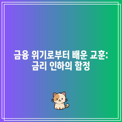 금융 위기로부터 배운 교훈: 금리 인하의 함정