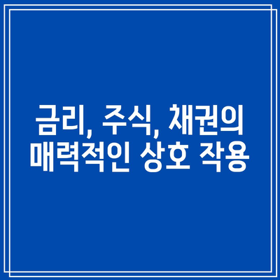 금리, 주식, 채권의 매력적인 상호 작용