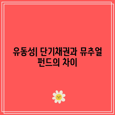 단기채권과 short-term 뮤추얼 펀드의 차이점