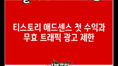 티스토리 애드센스 첫 수익과 무효 트래픽 광고 제한