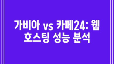 가비아 vs 카페24: 웹 호스팅 성능 분석