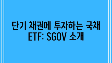 단기 채권에 투자하는 국채 ETF: SGOV 소개