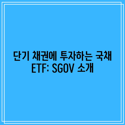 단기 채권에 투자하는 국채 ETF: SGOV 소개