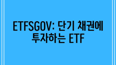 ETFSGOV: 단기 채권에 투자하는 ETF