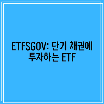 ETFSGOV: 단기 채권에 투자하는 ETF