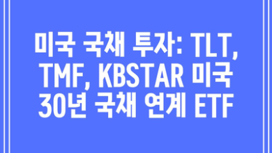 미국 국채 투자: TLT, TMF, KBSTAR 미국 30년 국채 연계 ETF