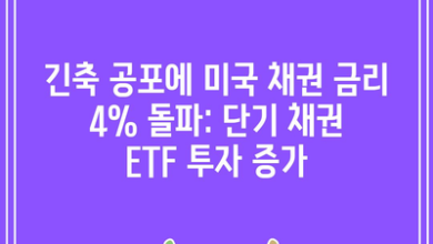 긴축 공포에 미국 채권 금리 4% 돌파: 단기 채권 ETF 투자 증가