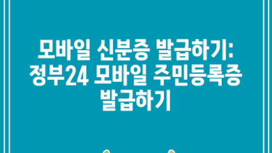 모바일 신분증 발급하기: 정부24 모바일 주민등록증 발급하기