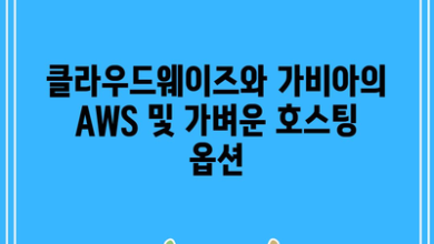 클라우드웨이즈와 가비아의 AWS 및 가벼운 호스팅 옵션