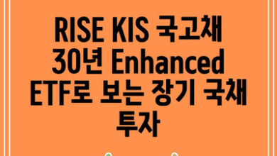 RISE KIS 국고채 30년 Enhanced ETF로 보는 장기 국채 투자