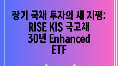 장기 국채 투자의 새 지평: RISE KIS 국고채 30년 Enhanced ETF