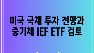 미국 국채 투자 전망과 중기채 IEF ETF 검토