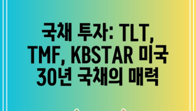 국채 투자: TLT, TMF, KBSTAR 미국 30년 국채의 매력