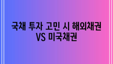 국채 투자 고민 시 해외채권 VS 미국채권