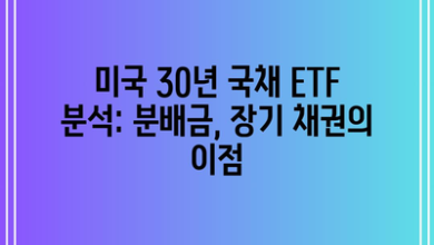 미국 30년 국채 ETF 분석: 분배금, 장기 채권의 이점