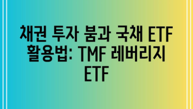 채권 투자 붐과 국채 ETF 활용법: TMF 레버리지 ETF