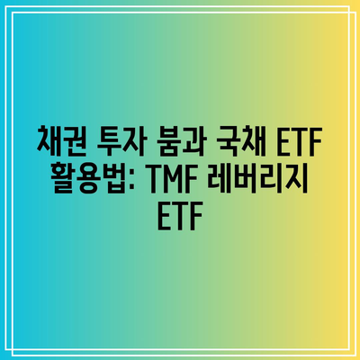 채권 투자 붐과 국채 ETF 활용법: TMF 레버리지 ETF