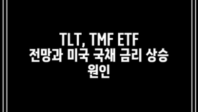 TLT, TMF ETF 전망과 미국 국채 금리 상승 원인