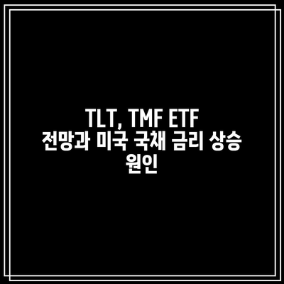 TLT, TMF ETF 전망과 미국 국채 금리 상승 원인