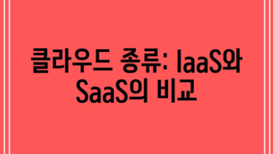 클라우드 종류: IaaS와 SaaS의 비교