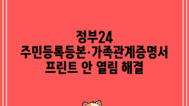 정부24 주민등록등본·가족관계증명서 프린트 안 열림 해결