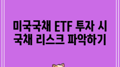 미국국채 ETF 투자 시 국채 리스크 파악하기