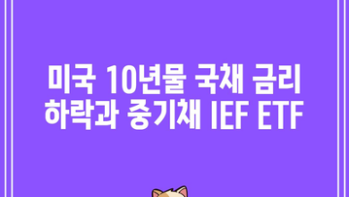 미국 10년물 국채 금리 하락과 중기채 IEF ETF