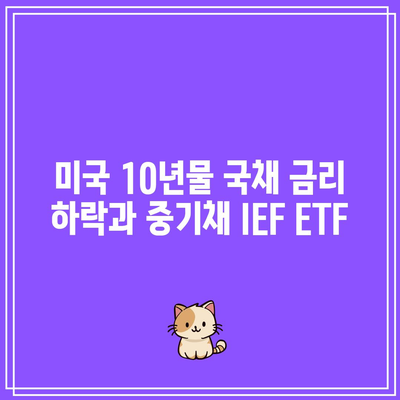 미국 10년물 국채 금리 하락과 중기채 IEF ETF