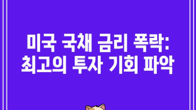 미국 국채 금리 폭락: 최고의 투자 기회 파악