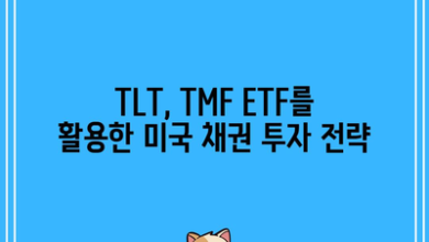 TLT, TMF ETF를 활용한 미국 채권 투자 전략