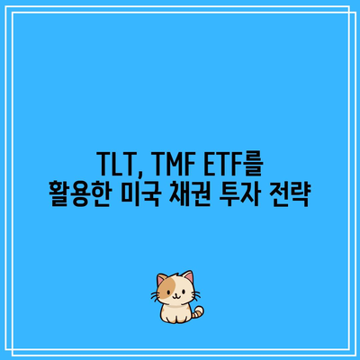 TLT, TMF ETF를 활용한 미국 채권 투자 전략