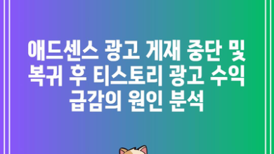 애드센스 광고 게재 중단 및 복귀 후 티스토리 광고 수익 급감의 원인 분석