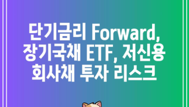 단기금리 Forward, 장기국채 ETF, 저신용 회사채 투자 리스크