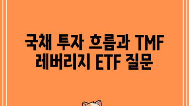 국채 투자 흐름과 TMF 레버리지 ETF 질문