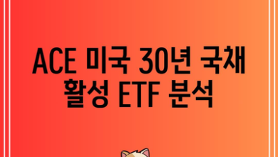 ACE 미국 30년 국채 활성 ETF 분석