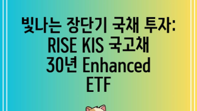 빛나는 장단기 국채 투자: RISE KIS 국고채 30년 Enhanced ETF