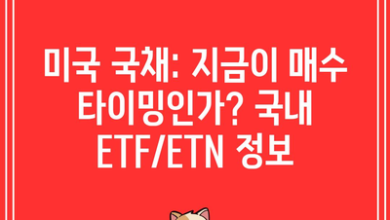 미국 국채: 지금이 매수 타이밍인가? 국내 ETF/ETN 정보