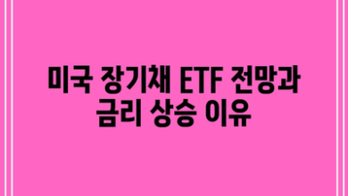 미국 장기채 ETF 전망과 금리 상승 이유