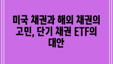 미국 채권과 해외 채권의 고민, 단기 채권 ETF의 대안