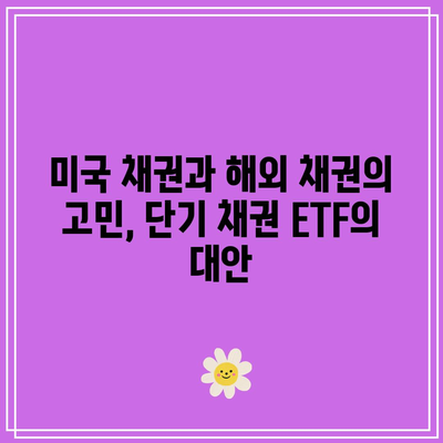 미국 채권과 해외 채권의 고민, 단기 채권 ETF의 대안