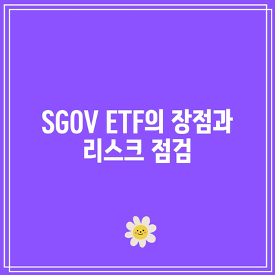 국채 금리와 단기 채권 ETF SGOV 투자 전략