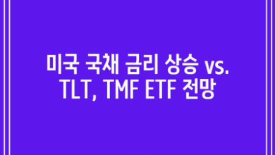 미국 국채 금리 상승 vs. TLT, TMF ETF 전망