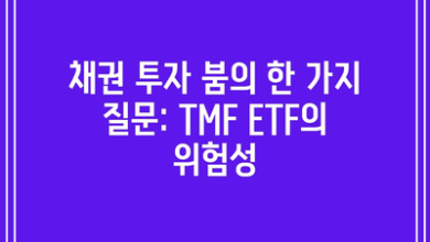 채권 투자 붐의 한 가지 질문: TMF ETF의 위험성