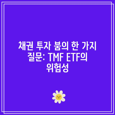 채권 투자 붐의 한 가지 질문: TMF ETF의 위험성