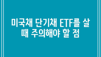 미국채 단기채 ETF를 살 때 주의해야 할 점