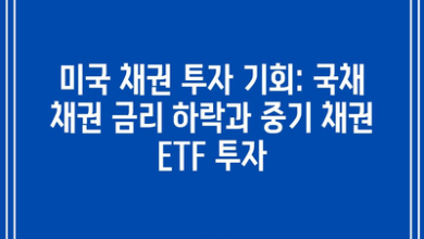 미국 채권 투자 기회: 국채 채권 금리 하락과 중기 채권 ETF 투자