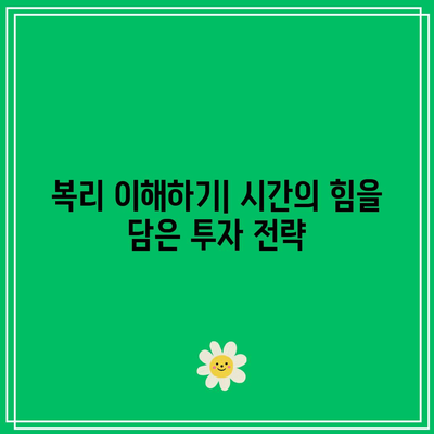 복리의 잠재력 풀어내기: 적금 투자 최적화