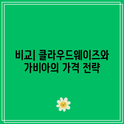 클라우드웨이즈와 가비아의 AWS 및 가벼운 호스팅 옵션