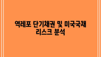 역레포 단기채권 및 미국국채 리스크 분석