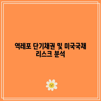 역레포 단기채권 및 미국국채 리스크 분석